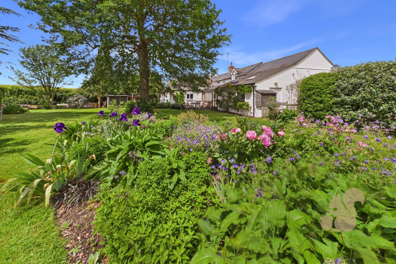 Rear Of Property